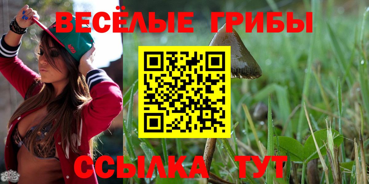 Галлюциногенные грибы ЛСД  Вход с VPN  Кувандык 