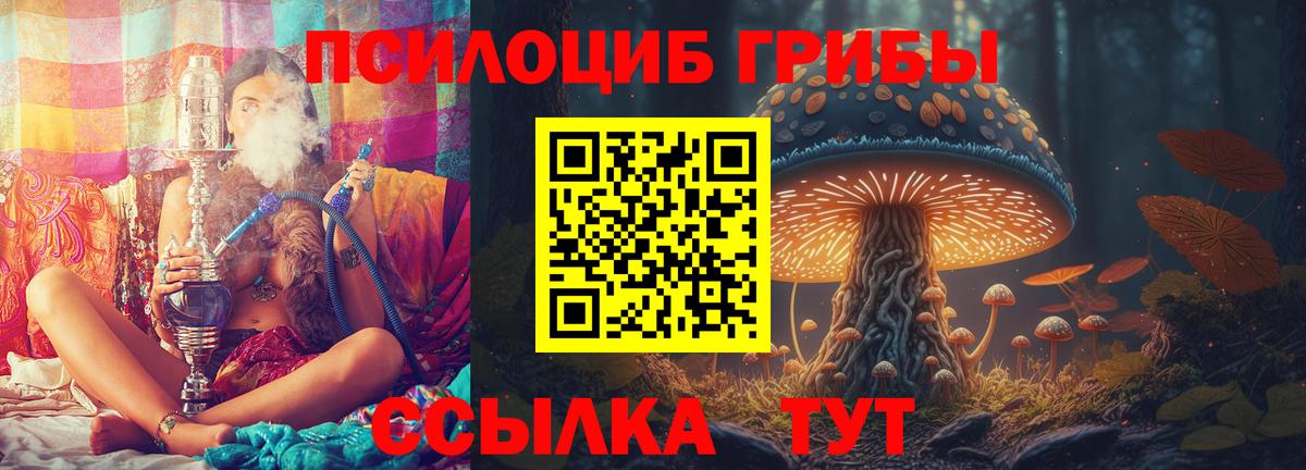 Псилоцибиновые грибы прущие грибы Кувандык